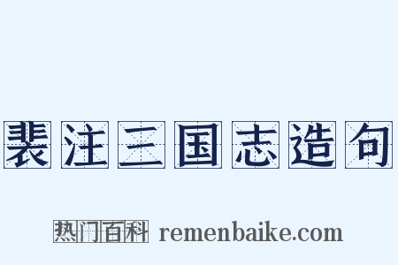 裴注三国志造句是什么意思的图片